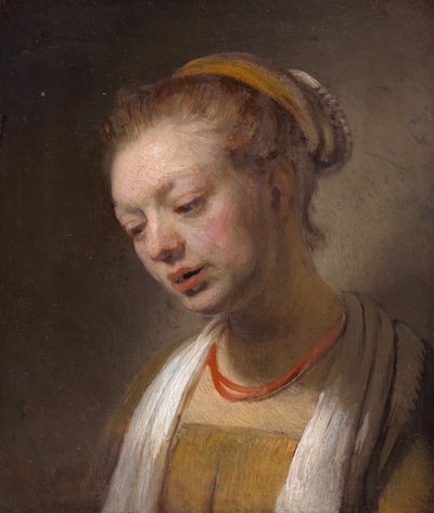 Jonge Vrouw met een Rode Ketting door Rembrandt van Rijn